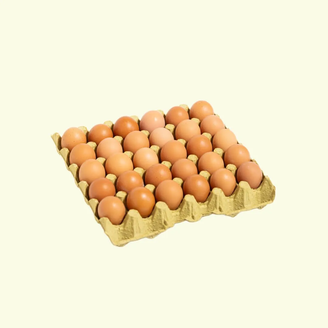 Brown Eggs