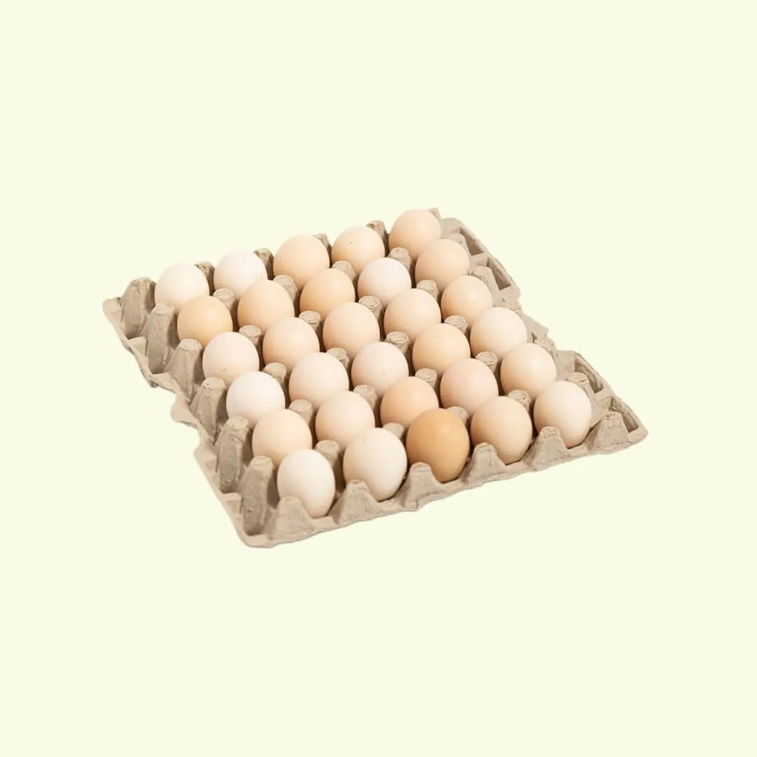 Hatching Eggs