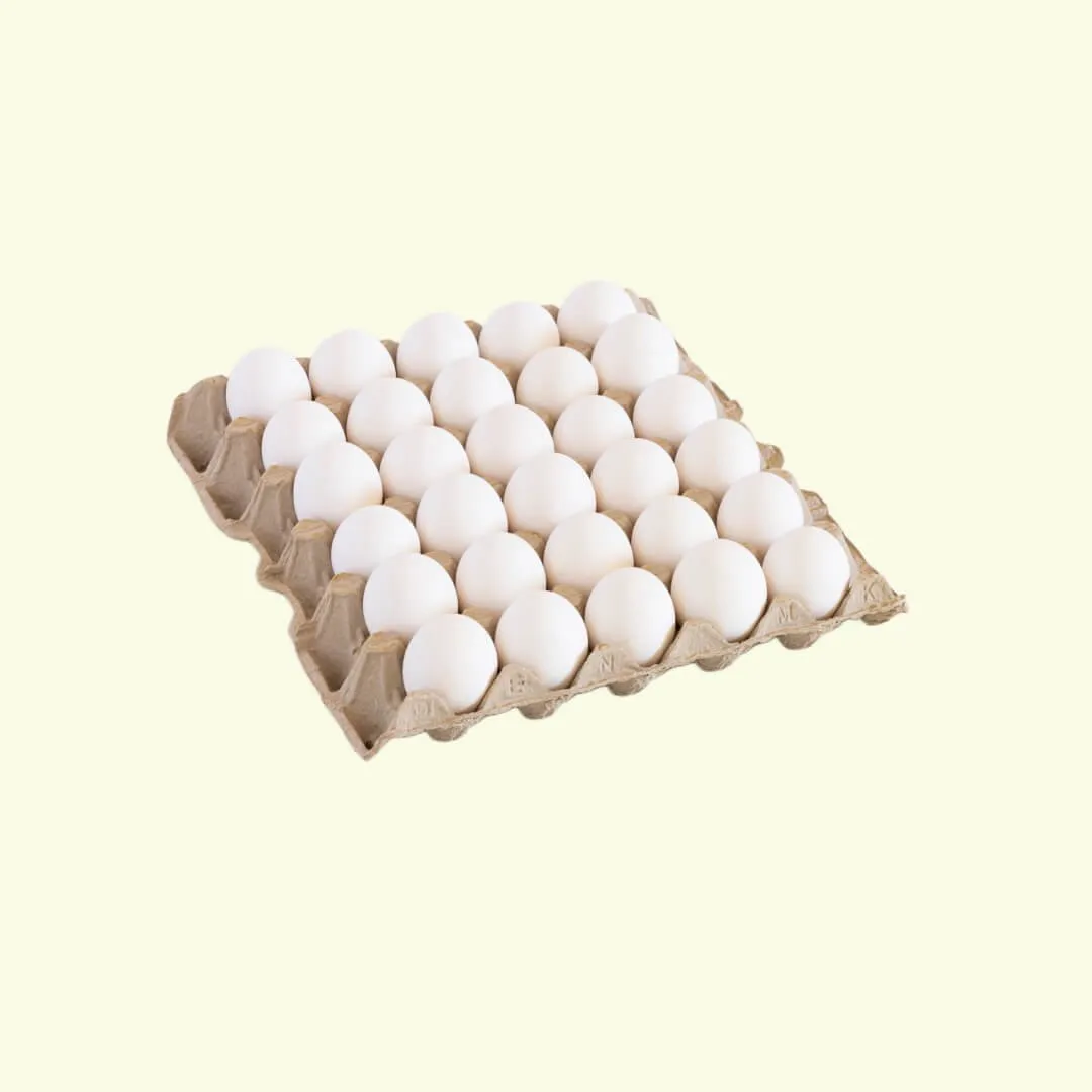 White Eggs